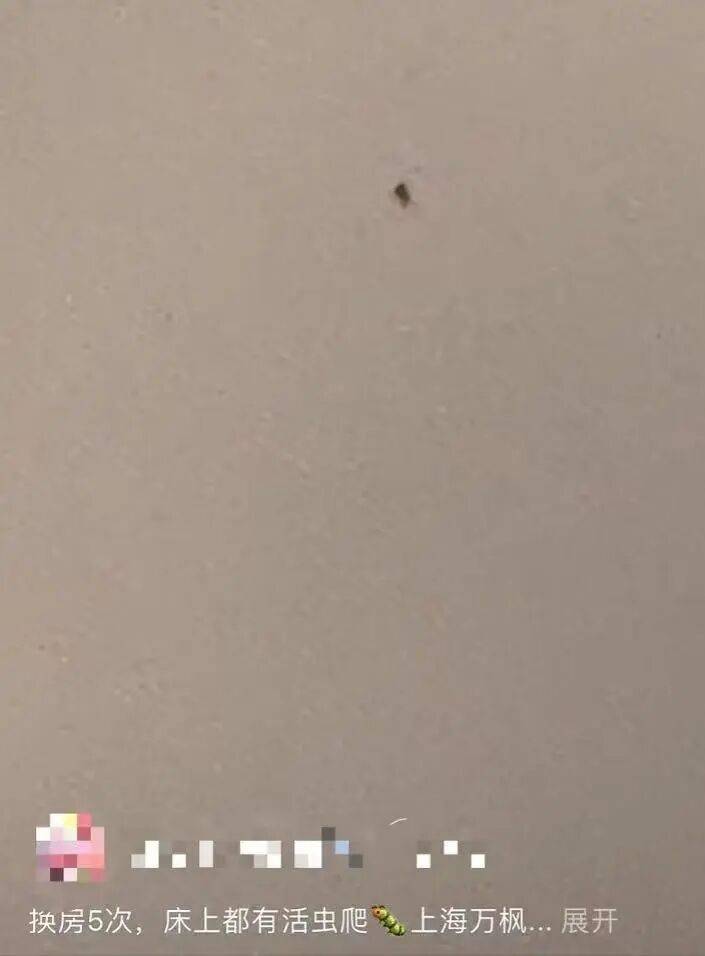 被投訴“連換5次房床上都有蟲(chóng)爬”<strong></p>
<p>宏鑫機(jī)械設(shè)備有限公司
</strong>，涉事高檔酒店回應(yīng):宏鑫機(jī)械設(shè)備有限公司
