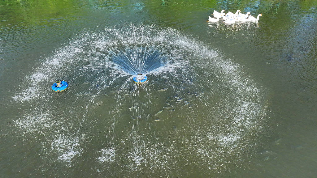 農(nóng)婦荒塘內(nèi)開挖養(yǎng)魚被控罪<strong></p>
<p>宏鑫機械設(shè)備有限公司
</strong>，免于刑事處罰也很冤:宏鑫機械設(shè)備有限公司
