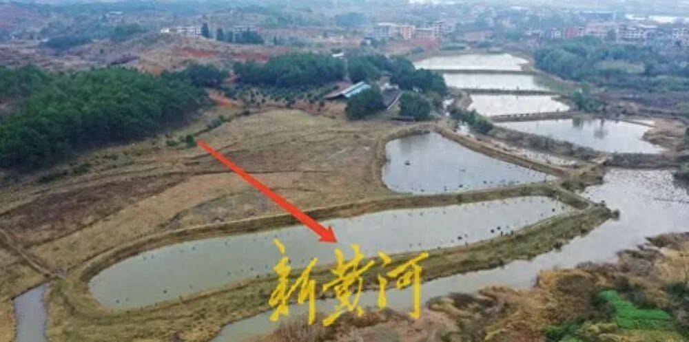 65歲農婦荒塘養(yǎng)魚被判“非法占用農地”：羈押10月后免刑，仍喊“我沒罪”:宏鑫機械設備有限公司
