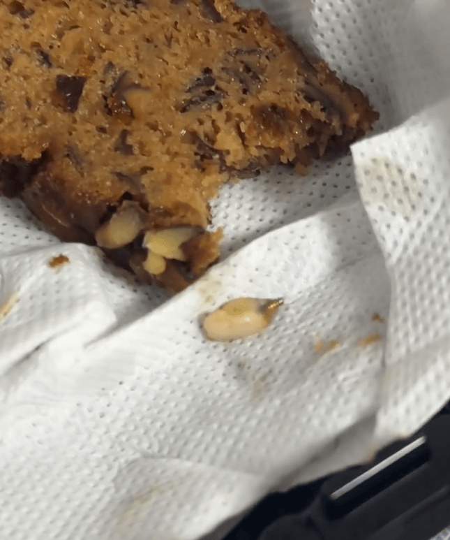 山姆棗泥核桃蛋糕吃出“一顆牙”？客服回應(yīng)：很驚訝<strong></p>
<p>宏鑫機(jī)械設(shè)備有限公司
</strong>，已反饋工廠排查:宏鑫機(jī)械設(shè)備有限公司
