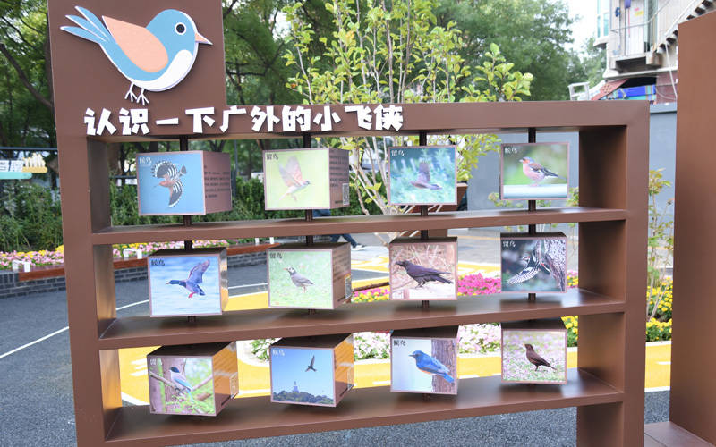 西城區(qū)廣外街道：“斷頭路”變身口袋公園<strong></p>
<p>宏鑫機(jī)械設(shè)備有限公司
</strong>，裝滿民生“微幸?！?宏鑫機(jī)械設(shè)備有限公司
