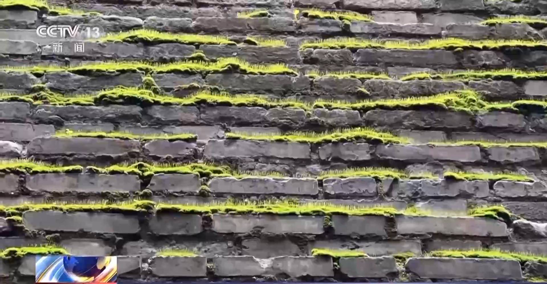 副熱帶高壓給西安城墻送來“限定皮膚” 專家解讀背后原因:宏鑫機(jī)械設(shè)備有限公司