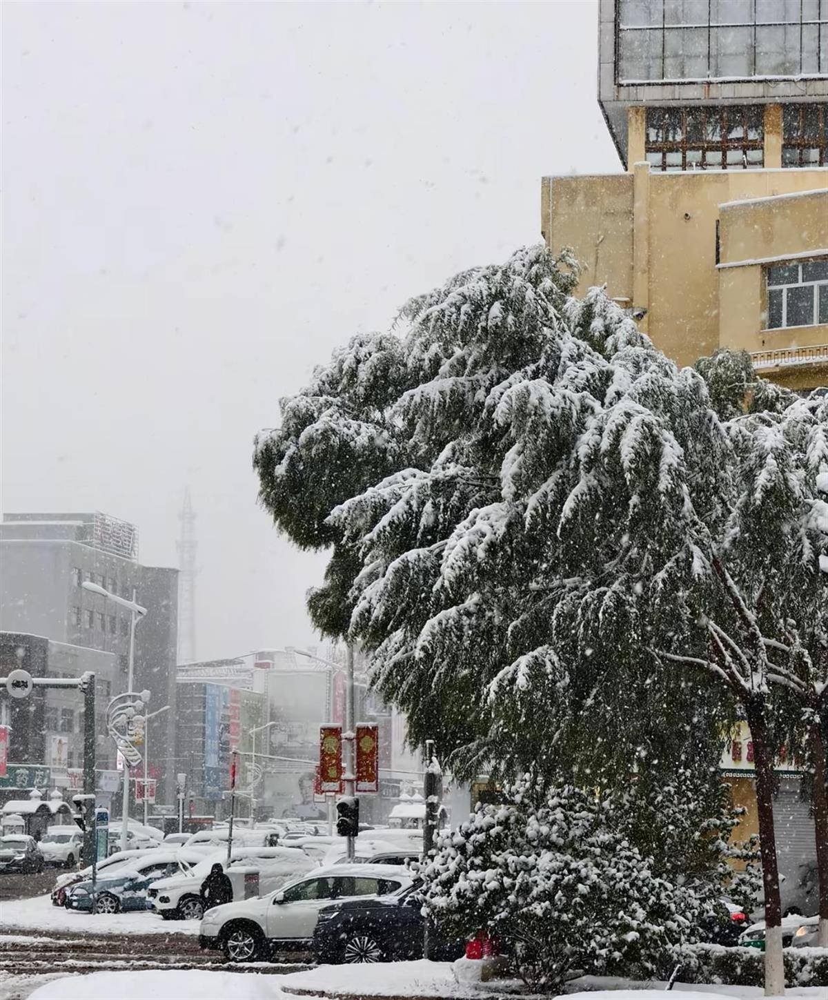 北方多地迎來(lái)第一場(chǎng)雪<strong></p>
<p>宏鑫機(jī)械設(shè)備有限公司
</strong>，黑龍江局地已出現(xiàn)暴雪，積雪深5厘米，氣象專家稱今年初雪略提前:宏鑫機(jī)械設(shè)備有限公司
