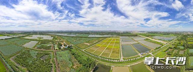 荒灘變綠洲 湖畔起樂(lè)園｜一江碧水向東流:宏鑫機(jī)械設(shè)備有限公司
