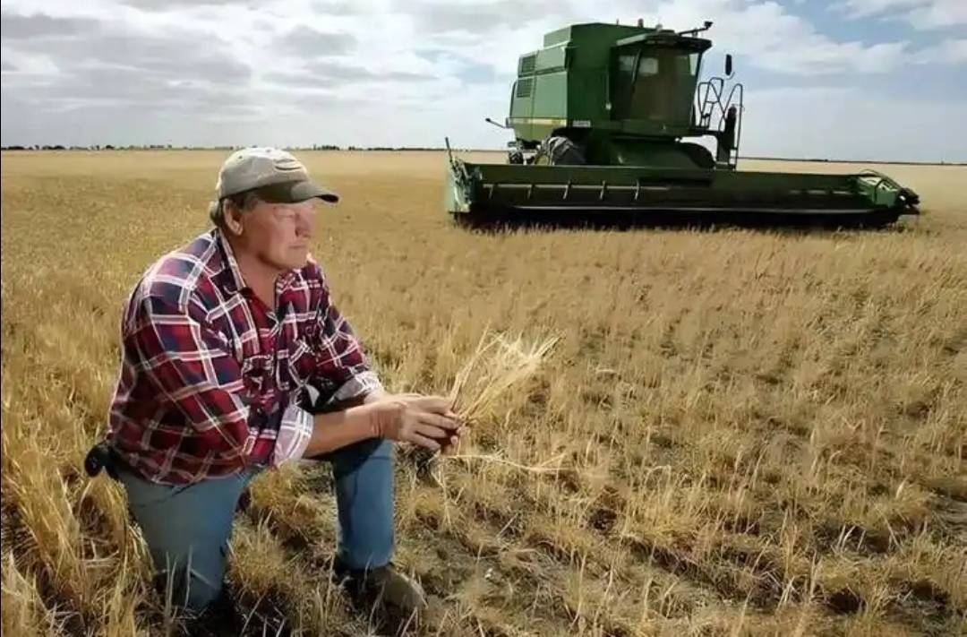 稀土卡脖子<strong></p>
<p>宏鑫機械設(shè)備有限公司
</strong>，美方軍工企業(yè)停擺！美財長喊話：開出取消關(guān)稅的條件，美農(nóng)戶輸慘了:宏鑫機械設(shè)備有限公司
