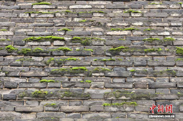 西安城墻“披綠”引關(guān)注 專家:暫不影響城墻穩(wěn)定性:宏鑫機(jī)械設(shè)備有限公司