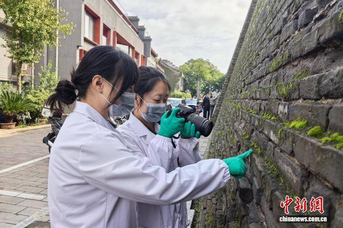 西安城墻“披綠”引關(guān)注 專家:暫不影響城墻穩(wěn)定性:宏鑫機(jī)械設(shè)備有限公司