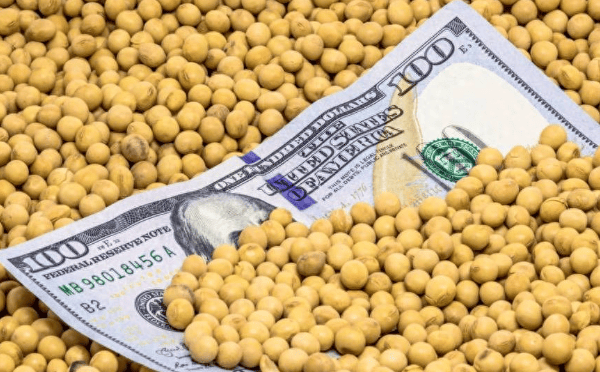 特朗普緊急發(fā)文<strong></p>
<p>宏鑫機(jī)械設(shè)備有限公司
</strong>，對中國已做好最壞打算，或禁買中國食用油？提醒忠實(shí)盟友牢牢記住一點(diǎn):宏鑫機(jī)械設(shè)備有限公司
