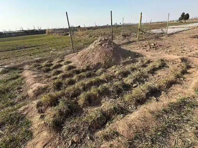 最新！三姐妹為父上墳被炸死案，大伯王某東已被執(zhí)行死刑:宏鑫機(jī)械設(shè)備有限公司
