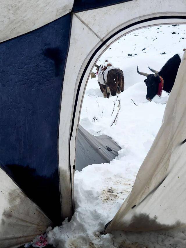 一年死亡近百人<strong></p>
<p>宏鑫機械設備有限公司
</strong>，他們?yōu)槭裁催€要去？:宏鑫機械設備有限公司
