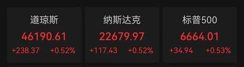 金價<strong></p>
<p>宏鑫機械設備有限公司
</strong>，突然跳水！有人哭了……:宏鑫機械設備有限公司
