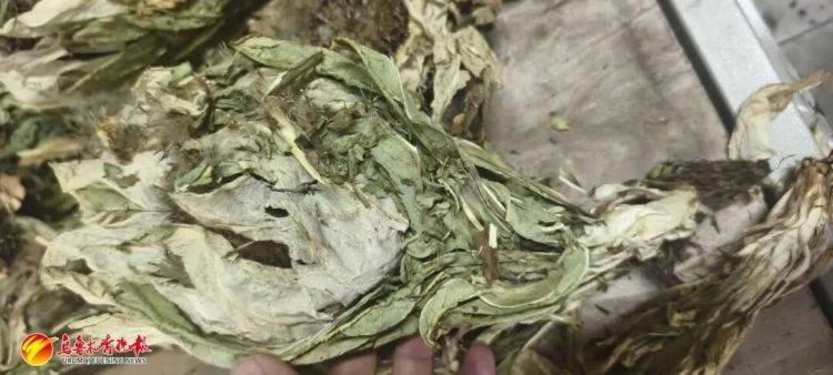 烏魯木齊貨車司機(jī)接了一單“玫瑰花”生意<strong></p>
<p>宏鑫機(jī)械設(shè)備有限公司
</strong>，背后竟?fàn)砍?00萬(wàn)大案:宏鑫機(jī)械設(shè)備有限公司
