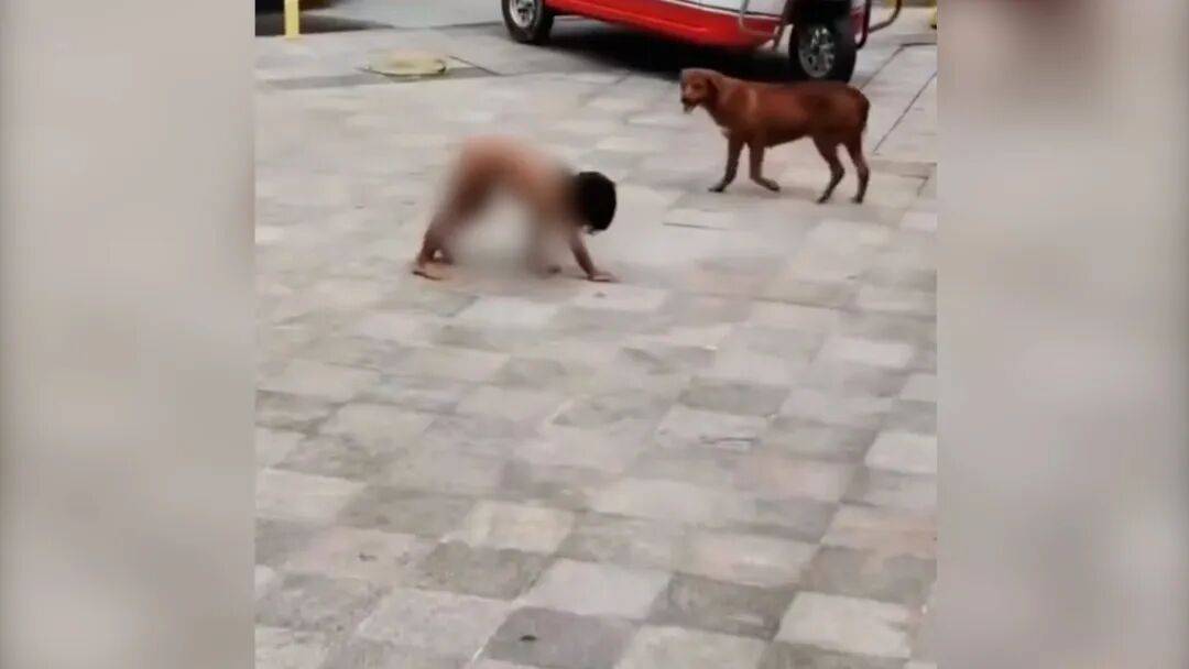 村民：“野人小孩”父親上山“靈修”后就不正常了:宏鑫機(jī)械設(shè)備有限公司
