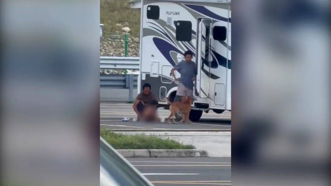 村民：“野人小孩”父親上山“靈修”后就不正常<strong></p>
<p>宏鑫機(jī)械設(shè)備有限公司
</strong>了:宏鑫機(jī)械設(shè)備有限公司
