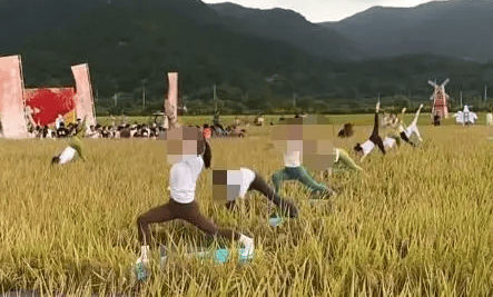 媒體：稻田開鐮儀式，表演哪門子瑜伽？:宏鑫機械設(shè)備有限公司
