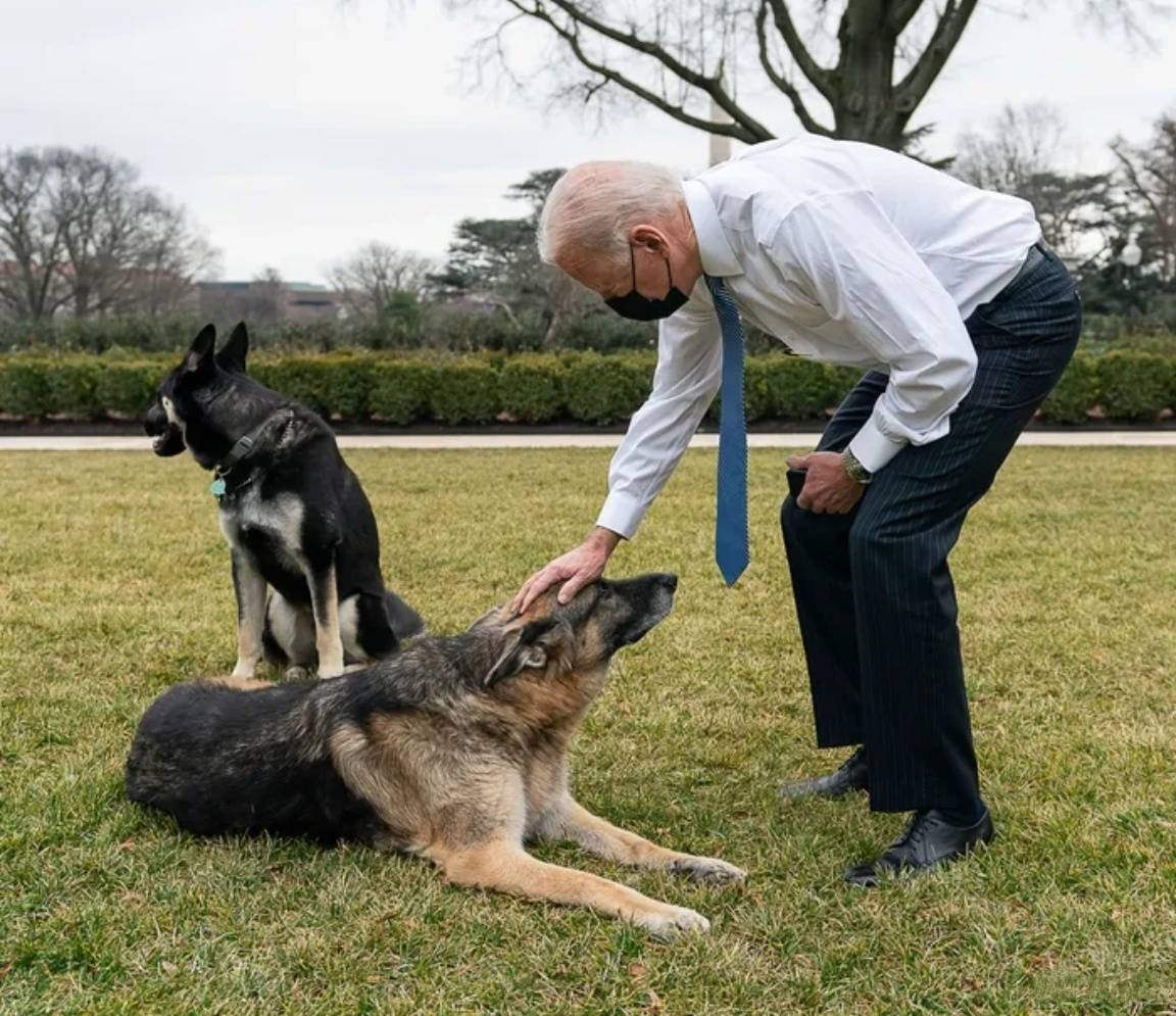 新加坡勸中國放棄自給自足<strong></p>
<p>宏鑫機械設備有限公司
</strong>，稱美國還有絕招！這個印度裔總統(tǒng)，對華不懷好意:宏鑫機械設備有限公司
