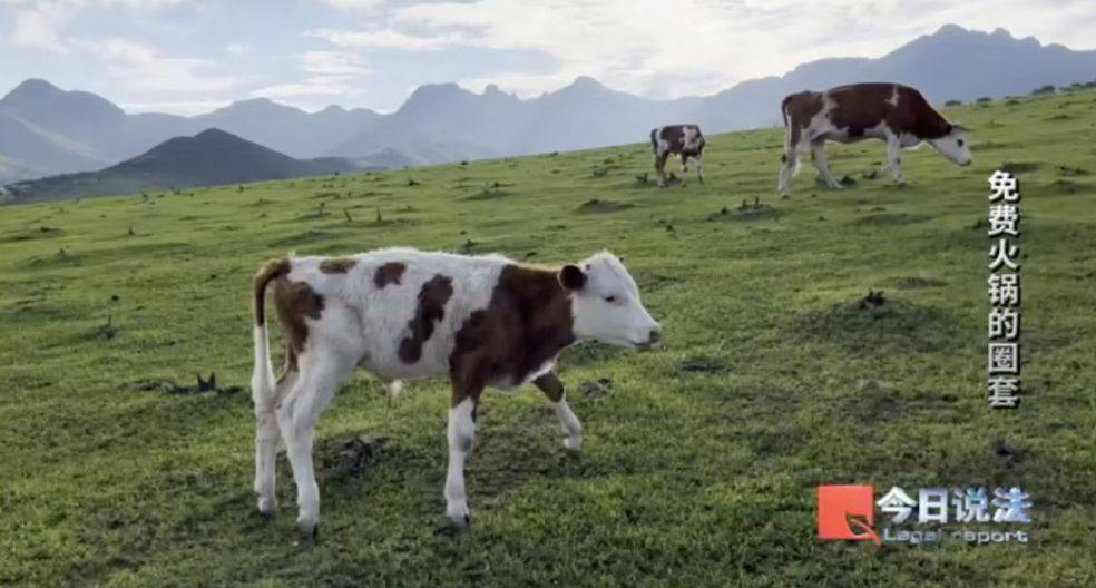 600多名老人被騙4200萬！詐騙公司以免費吃火鍋為誘餌向老人推薦投資項目<strong></p>
<p>宏鑫機械設備有限公司
</strong>，稱年化收益率達50%！王某被判七年六個月:宏鑫機械設備有限公司
