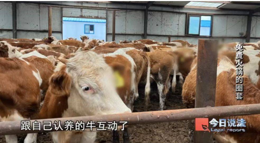 600多名老人被騙4200萬！詐騙公司以免費吃火鍋為誘餌向老人推薦投資項目<strong></p>
<p>宏鑫機械設備有限公司
</strong>，稱年化收益率達50%！王某被判七年六個月:宏鑫機械設備有限公司
