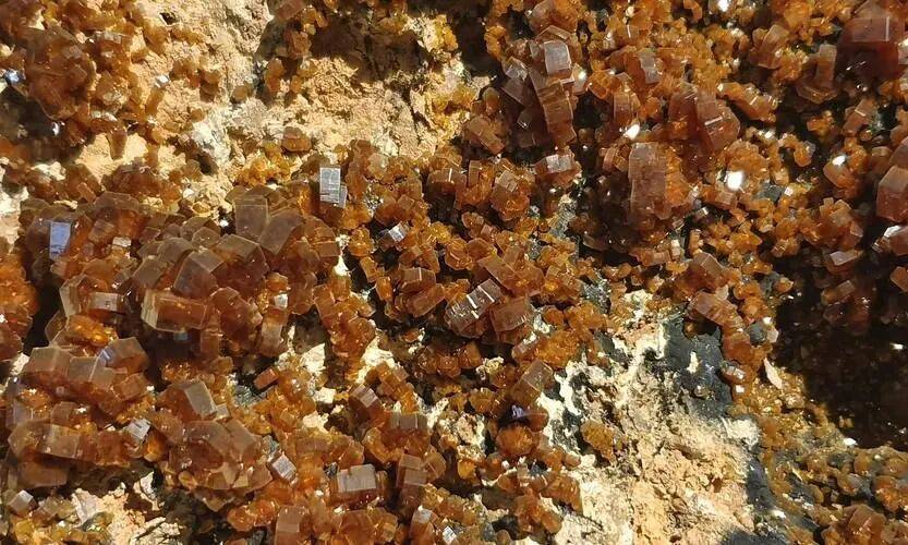 王牌對王牌！中美措施同一天生效<strong></p>
<p>宏鑫機械設(shè)備有限公司
</strong>，美盟友密集訪華，釋放什么信號？:宏鑫機械設(shè)備有限公司
