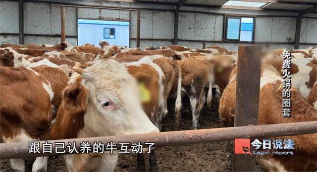 600多名大爺大媽吃了免費(fèi)火鍋后<strong></p>
<p>宏鑫機(jī)械設(shè)備有限公司
</strong>，被騙約4200萬(wàn)元:宏鑫機(jī)械設(shè)備有限公司
