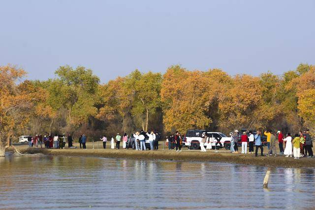 新疆胡楊引客來(lái):宏鑫機(jī)械設(shè)備有限公司
