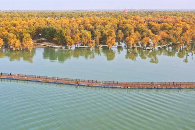 新疆胡楊引客來(lái):宏鑫機(jī)械設(shè)備有限公司
